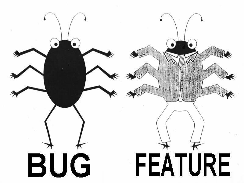 How to Estimate Software Bugs? And should You?